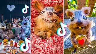 Miniature : EGOFILM TIKTOK BESTOF - TIKTOK'S MOST FAMOUS SQUIRREL - PART 2 (TikTok & Short Compilation) 🐿️🐿️
