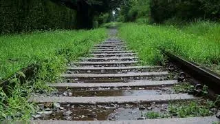 Miniature : Décryptage du projet de loi pour la formation 2026