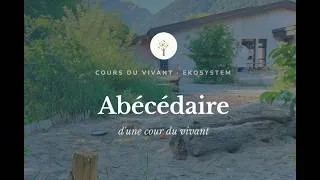 Miniature : Redonner vie à sa cour d'école - Abécédaire des Cours du vivant
