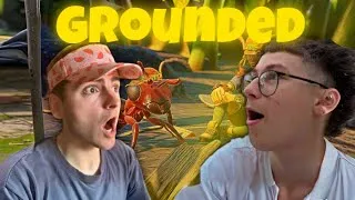 Miniature : ON A ECLATÉ LES BOSS  !  (Grounded) ft. Kvlixn