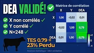 Miniature : Calcul et interpretation des coefficients de l'efficience technique.