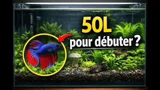 Miniature : Aquarium 50L pour débutants 🐠 Matériel, poissons & erreurs à éviter