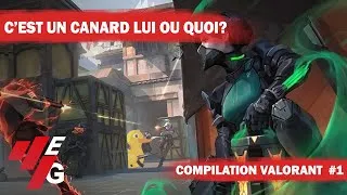 Miniature : Les Condensés Valo #1 | C'EST UN CANARD LUI OU QUOI ??