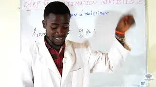 Miniature : ESTIMATIONS STATISTIQUES (Statistiques inférentielles)