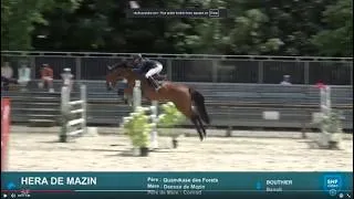 Miniature : Hera de Mazin - QUAMIKASE DES FORETS alias ZIROCCO BLUE VDL x Déesse de Mazin par CONRAD - CC 6 ans