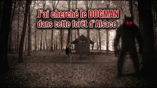 Miniature : J’ai cherché le DOGMAN dans cette forêt d'Alsace
