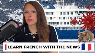 Miniature : Hantavirus on a Luxury Cruise Ship: What Really Happened?