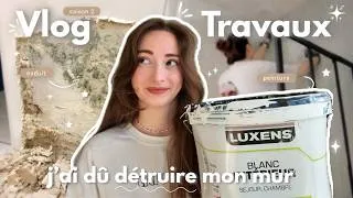 Miniature : VLOG TRAVAUX 🚧  / J'AI DETRUIT MON MUR (pour le refaire...) #2