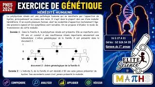 Miniature : 🔥 Exercice Corrigé d’Hérédité Humaine | Pédigrée & Polykystose Rénale-BAC 2016 S2 SVT SN