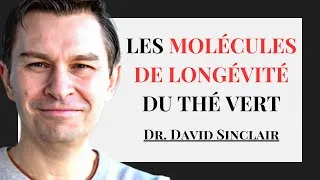 Miniature : Comment le Thé Vert Contribue à la Longévité | Dr. David Sinclair