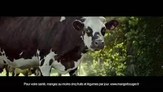 Miniature : Elle & Vire - Le beurre traditionnel Condé-sur-Vire