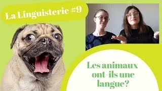 Miniature : La Linguisterie #9 - Les animaux ont-ils une langue ?