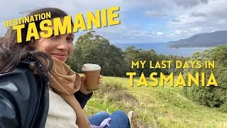 Miniature : [ENGSUB] Vlog #TASMANIA (Ep. 08) | Découvrir Hobart : MONA, French Bakery, hot pot