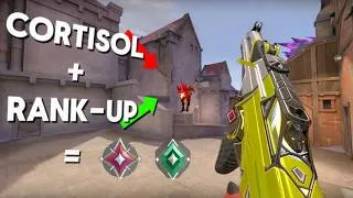 Miniature : Pourquoi ton cerveau t’empêche de rank up (et comment l’arrêter)