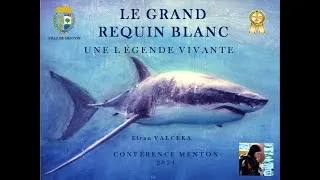 Miniature : LE GRAND REQUIN BLANC : UNE LÉGENDE VIVANTE. Conférence Menton 2024 par Elran VALCEKA