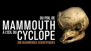 Miniature : Du poil de mammouth à l’œil du cyclope