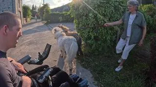 Miniature : • Balade tranquille au RAVeL et rencontre avec les chevaux 🐴🌾