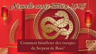 Miniature : 🎇 Nouvelle année lunaire 2025 🎊🧧 Serpent de bois 🐍
