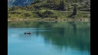 Miniature : ASMR FR : Relaxation au bord du lac 