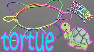 Miniature : Ztringz la tortue