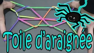 Miniature : Ztringz la toile d'araignée
