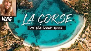 Miniature : LA CORSE |  Les PLUS BEAUX SPOTS !  - VLOG & ROAD TRIP en CORSE