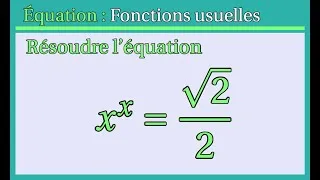 Miniature : Etude de la fonction qui à x associe x^x et équation associée