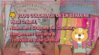 Miniature : 🎨 VLOG COLORIAGE DE LA SEMAINE | Haul Créatif, Nuanciers CDC,  Lorcana & Trouvailles Vide-Grenier
