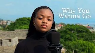 Miniature : Why You Wanna Go – Sean Kingston (Cover by Emmy One)
