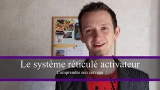 Miniature : Comprendre son cerveau : le système réticulé activateur