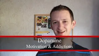 Miniature : Dopamine Motivation & Addictions