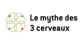 Miniature : Le mythe des 3 cerveaux