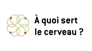 Miniature : À quoi sert le cerveau ?