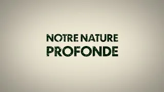 Miniature : Notre nature profonde. L'Empreinte le documentaire