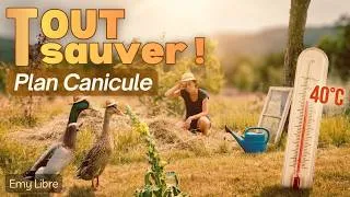 Miniature : CANICULE : Mon plan stratégique avec des solutions SIMPLES ! 🛡️☀️