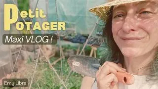 Miniature : Maxi VLOG JARDIN POTAGER & PLANTES de mai 🌱
