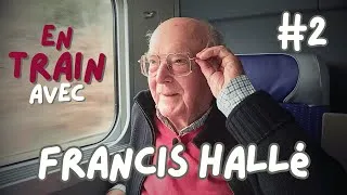 Miniature : Francis Hallé #2 : une forêt primaire en Europe de l'Ouest !