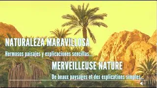 Miniature : MERVEILLEUSE NATURE - NATURALEZA MARAVILLOSA