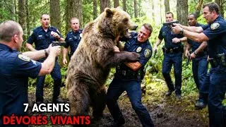 Miniature : Cet Ours Grizzli A Tué 7 Agents De Police En 5 Minutes