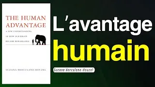 Miniature : L’avantage humain : une nouvelle compréhension de la façon dont notre cerveau est devenu remarquable