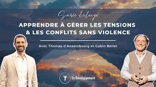 Miniature : De la confrontation à la connexion : résoudre les conflits sans violence - Thomas d'Ansembourg