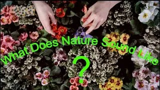Miniature : ✅   What Does Nature Sound Like???   👂 🌿   🌺      -  A Qué Suena La Naturaleza???  👂 🍀  🌼
