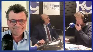 Miniature : Rapport Pisany Ferry - Le suicide par la vertu