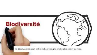Miniature : Les fondamentaux de la biodiversité - MOOC Biodiversité