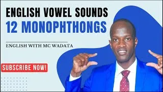Miniature : English vowel sounds: 12 monophthongs