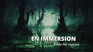 Miniature : En immersion - Marécage - soundscapes - Jeux de rôles