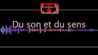 Miniature : Media et influences. De la télévision aux réseaux sociaux, dérives successives