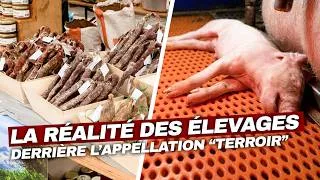 Miniature : 🐷 La vérité derrière la charcuterie artisanale ? | Enquête Choc
