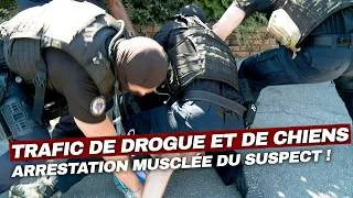 Miniature : Trafic de drogue et chiens d’attaque : les gendarmes face à un suspect dangereux 🚔 | Enquête Choc