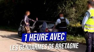 Miniature : 🚨 Cambriolages, courses-poursuites et suspects armés : les gendarmes traquent les délinquants !